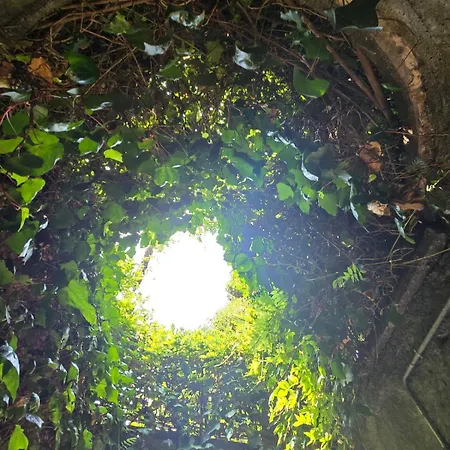 Casa vacanze Le Allegre Comari Di Nesso, Casa E Benessere Nesso