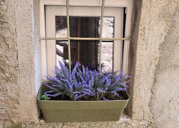 בית נופש Le Allegre Comari Di Nesso, Casa E Benessere *