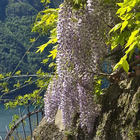 Le Allegre Comari Di Nesso, Casa E Benessere *